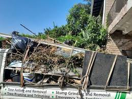 Best Electronics and E-Waste Disposal  in Green Valley, AZ