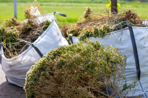 Best Electronics and E-Waste Disposal  in Green Valley, AZ
